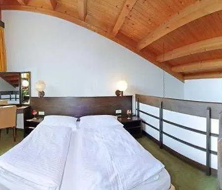 Schindlhaus/alpin Зелль